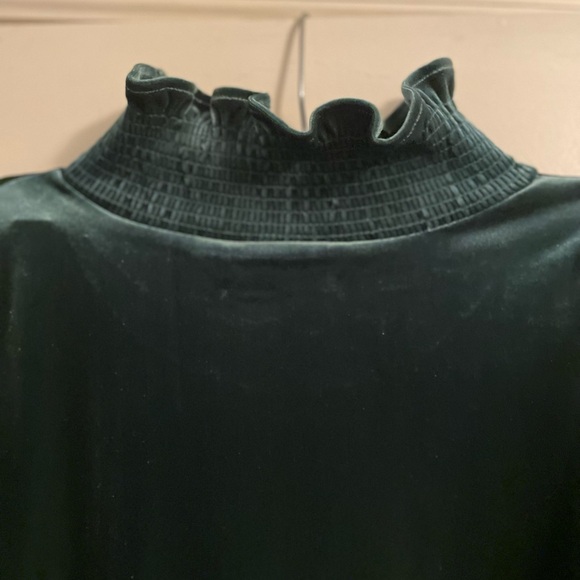 Soft Surroundings Floriana Velvet Peplum Ruffle Blouse Pine Grove Size Medium - Picture 9 of 13